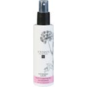 eccoverde Unique Beauty Neutraler Hairspray 150 ml