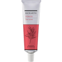 eccoverde BIOEARTH Teebaum Salbe 50 ml