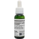 eccoverde La Saponaria PCA Glyercyl Oleate 25 ml