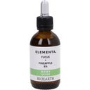 eccoverde BIOEARTH ELEMENTA BODY DETOX Blasentang + Ananas 6% 50 ml Nur noch ein Tag übrig