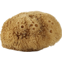 eccoverde Avril Natural Body Sponge Speichern exportieren