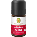 eccoverde PRIMAVERA Winterwald Duftmischung bio 5 ml Tiefpreis