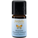 eccoverde farfalla Rosmarin Chemotyp Verbenon Grand Cru 5 ml Zeitbegrenzte Promotion