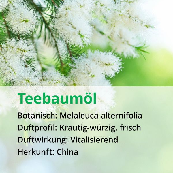 bodyguardapotheke TEEBAUM ÖL NATURREIN ätherisch Bis zu 55% Rabatt