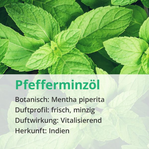 bodyguardapotheke PFEFFERMINZ ÖL naturrein ätherisch Nur noch ein Tag übrig