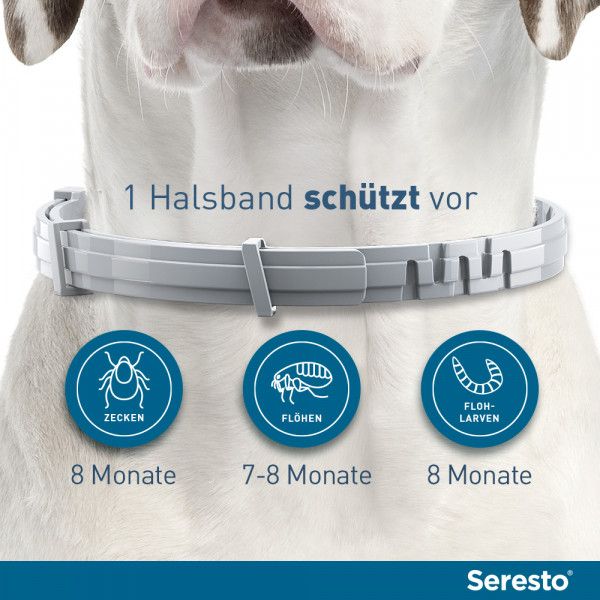bodyguardapotheke SERESTO Halsband für kleine Hunde Riesige Rabatte