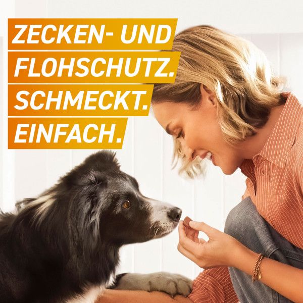 bodyguardapotheke FRONTPRO 68 mg Kautabletten f.Hunde >10-25 kg 50% Rabatt mit kostenlosem Versand
