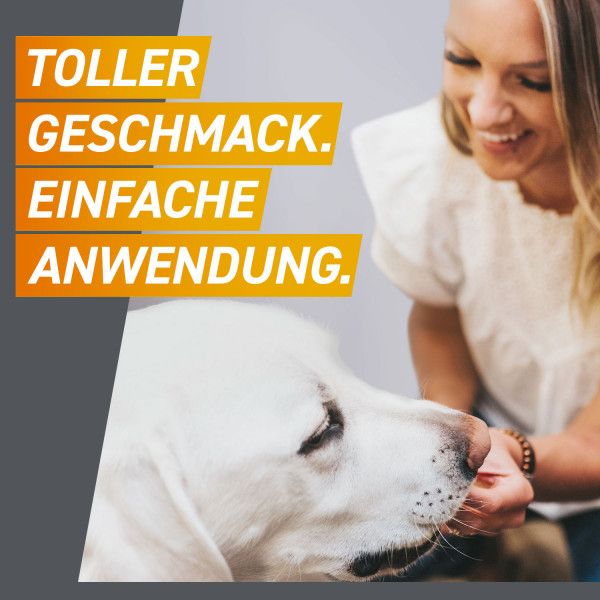 bodyguardapotheke FRONTPRO 11 mg Kautabletten f.Hunde 2-4 kg Kostenloser Versand international