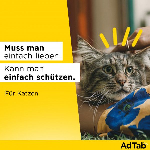 bodyguardapotheke ADTAB 48 mg Kautabletten für Katzen >2-8 kg Fabrikladen
