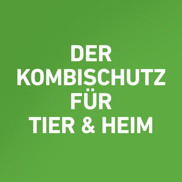 bodyguardapotheke FRONTLINE COMBO gegen Zecken Flöhe (Flöhe Eier Larven Puppen) für Hunde M zollfrei