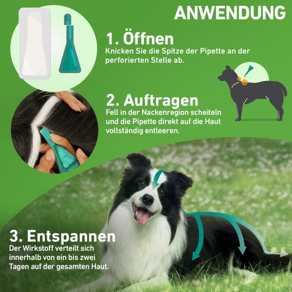 bodyguardapotheke FRONTLINE COMBO gegen Zecken Flöhe (Flöhe Eier Larven Puppen) für Hunde M zollfrei