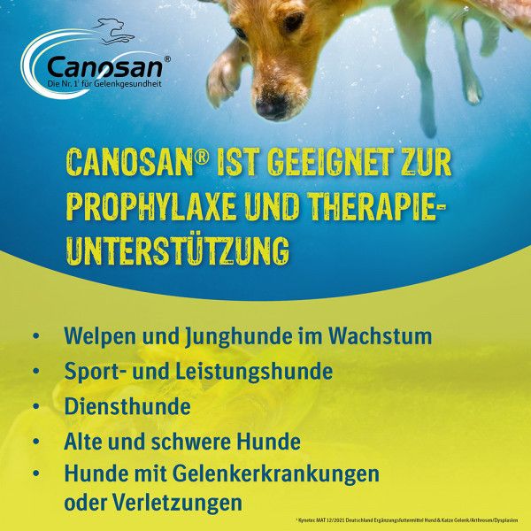 bodyguardapotheke CANOSAN Pellets bei Gelenkproblemen Hund mit Grünlippmuschel Extrakt Gonex Outlet