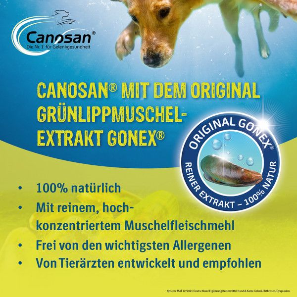 bodyguardapotheke CANOSAN Pellets bei Gelenkproblemen Hund mit Grünlippmuschel Extrakt Gonex Outlet