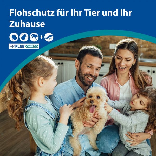 bodyguardapotheke AMFLEE combo 402/361 8mg Lsg.z.Auf.f.Hunde üb.40kg Angebote
