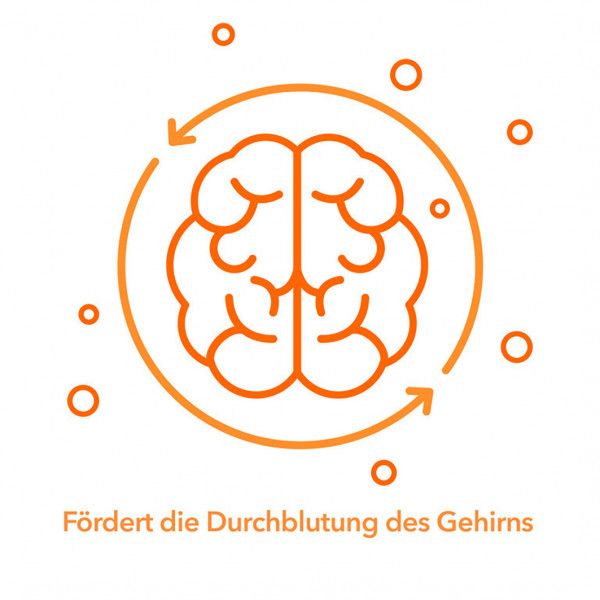 bodyguardapotheke GINKOBIL-ratiopharm 240 mg Filmtabletten JETZT KAUFEN