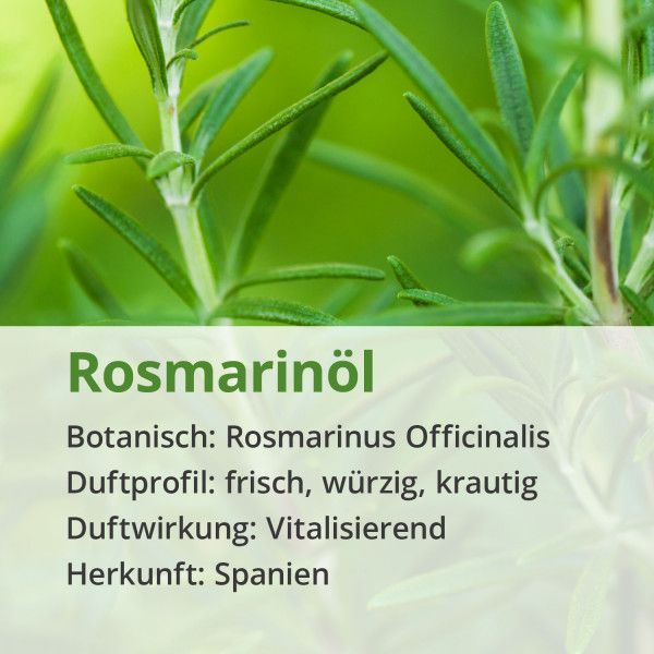 bodyguardapotheke ROSMARIN ÖL naturrein ätherisch Bis zu 60% Rabatt
