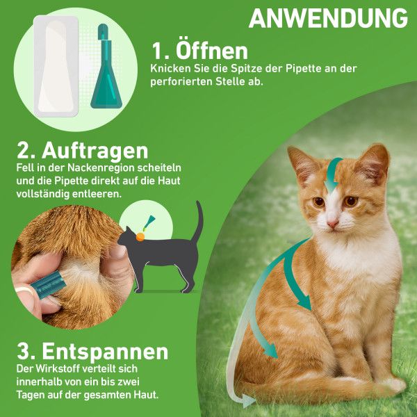 bodyguardapotheke FRONTLINE COMBO gegen Zecken Flöhe (Flöhe Eier Larven Puppen) für Katzen im Angebot