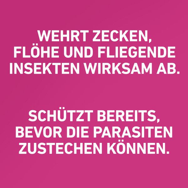 bodyguardapotheke FRONTLINE TRI-ACT gegen Zecken Flöhe und fliegende Insekten für Hunde M Kostenloser Versand