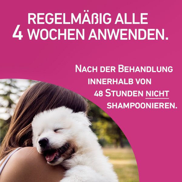 bodyguardapotheke FRONTLINE TRI-ACT gegen Zecken Flöhe und fliegende Insekten für Hunde M Kostenloser Versand