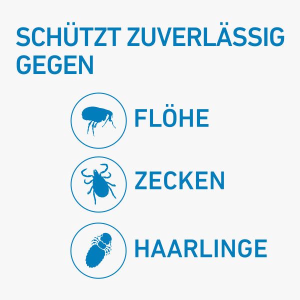 bodyguardapotheke FRONTLINE SPOT-ON gegen Zecken und Flöhe für Hunde S Limitierter Zeitrabatt