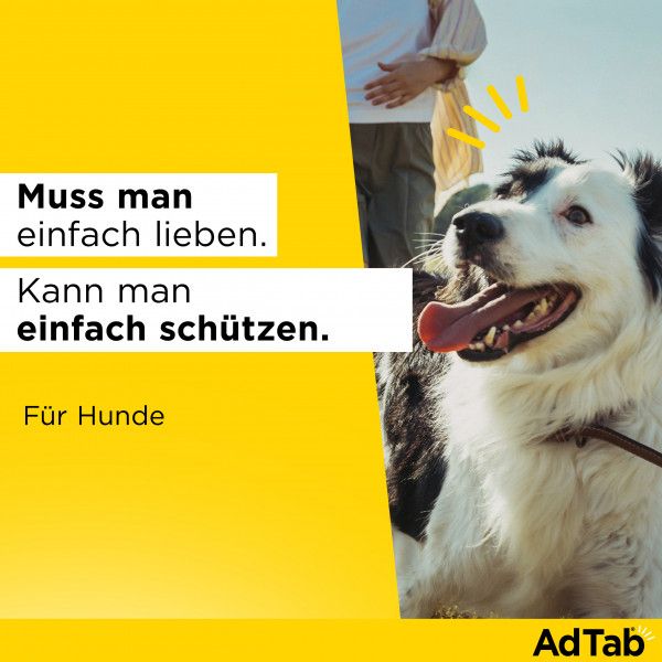 bodyguardapotheke ADTAB 56 mg Kautabletten für Hunde 1 3-2 5 kg Saisonschlussverkauf