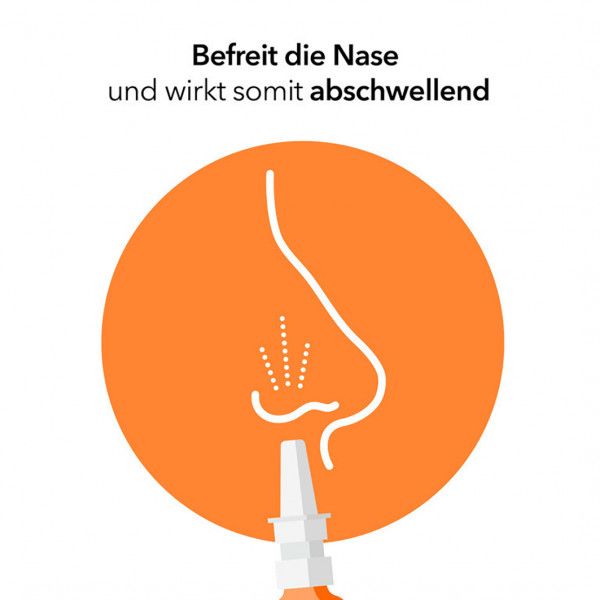 bodyguardapotheke NASENSPRAY-ratiopharm Erwachsene und Schulkinder konservierungsmittelfrei Neuheiten