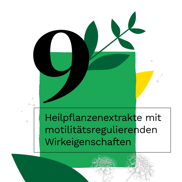 bodyguardapotheke IBEROGAST Classic Flüssigkeit zum Einnehmen bei funktionellen und motilitätsbedingten Magen-Darm-Beschwerden Bestseller