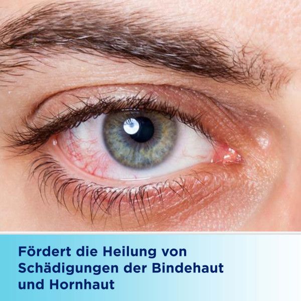 bodyguardapotheke BEPANTHEN Augen- und Nasensalbe Kauf eins, bekomm eins gratis
