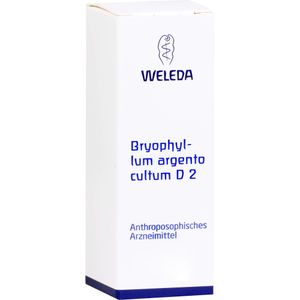 bodyguardapotheke BRYOPHYLLUM ARGENTO cultum D 2 Dilution Günstiger Verkauf