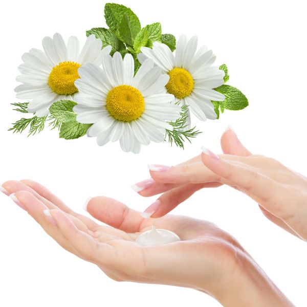 bodyguardapotheke BODYGUARDPHARM Handcreme Kamille Rabatt