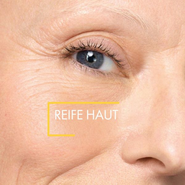 bodyguardapotheke VICHY NEOVADIOL Nachtcreme Nach den Wechseljahren im Angebot