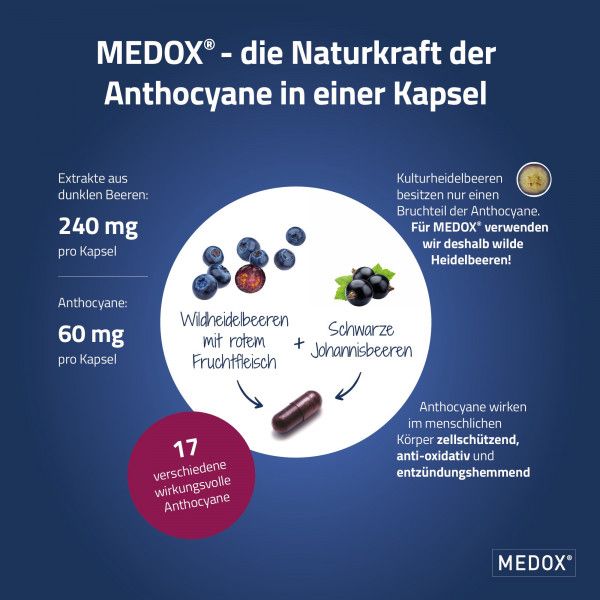 bodyguardapotheke MEDOX Anthocyane aus wilden Beeren Kapseln Nur für heute