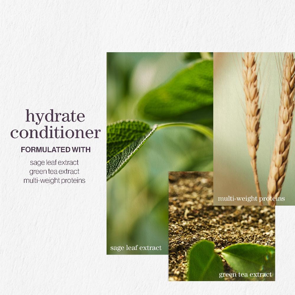 lookfantastic Pureology Hydrate Shampoo and Conditioner Moisturising Bundle for Dry Hair Sulphate Free for a Gentle Cleanse Großer Ausverkauf