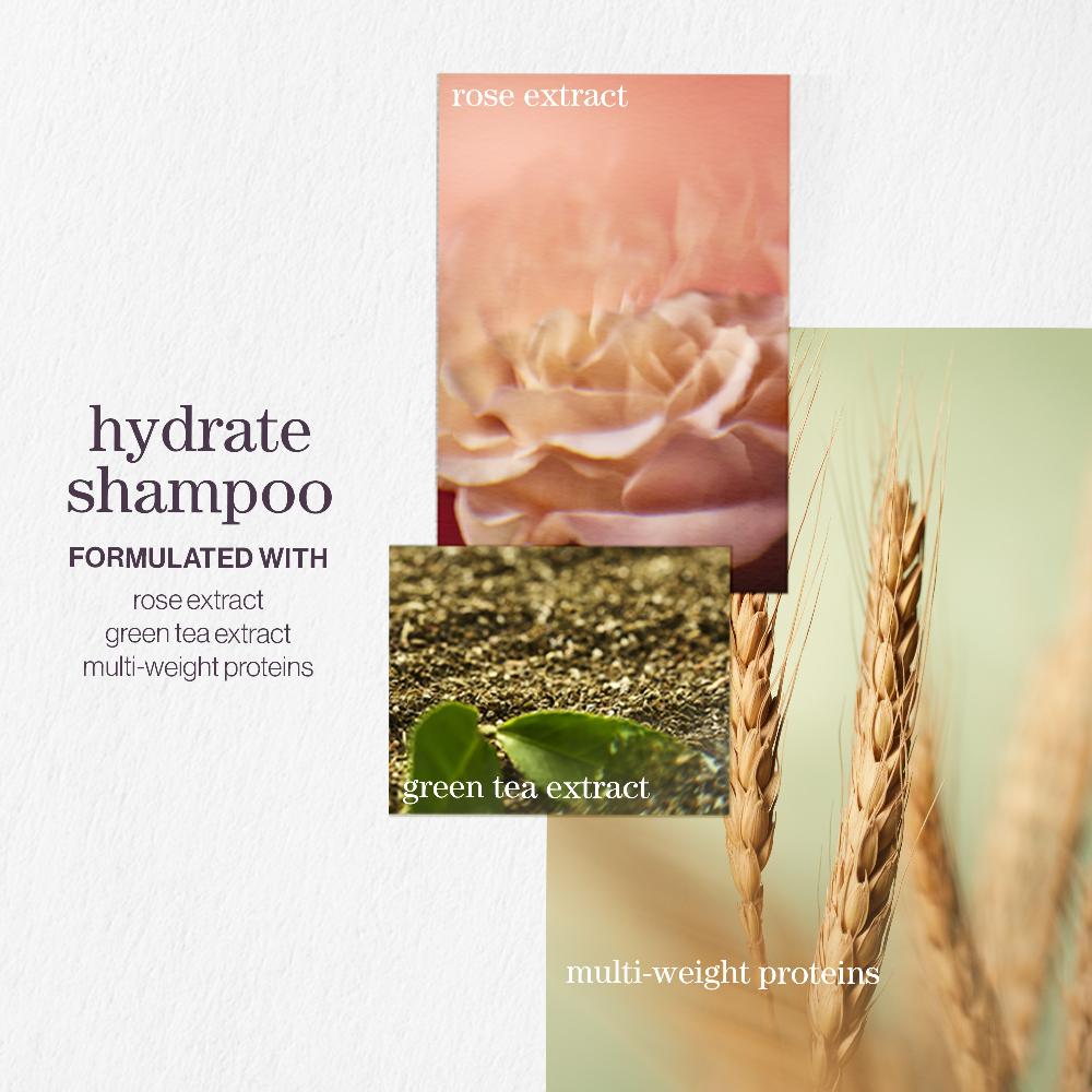 lookfantastic Pureology Hydrate Shampoo 266ml Begrenztes Angebot