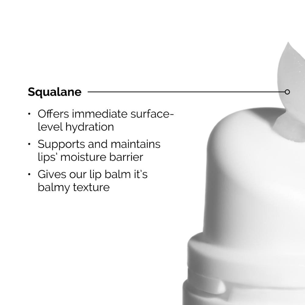 lookfantastic The Ordinary Squalane and Amino Acids Lip Balm 15ml Exklusivangebot