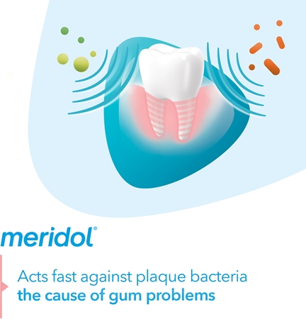 Meridol Meridol Gum Protection Zahnpasta unterstützt die Regeneration von gereiztem Zahnfleisch Begrenzte Freigabe