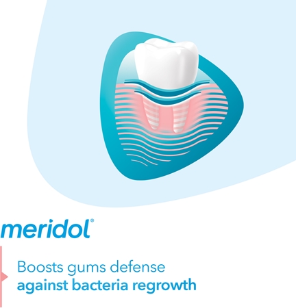 Meridol Meridol Gum Protection Zahnpasta unterstützt die Regeneration von gereiztem Zahnfleisch Begrenzte Freigabe
