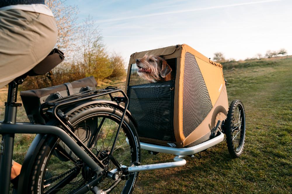 babymarkt Hundefahrradanhänger Dog Mikke Moss green Nur noch ein Tag übrig