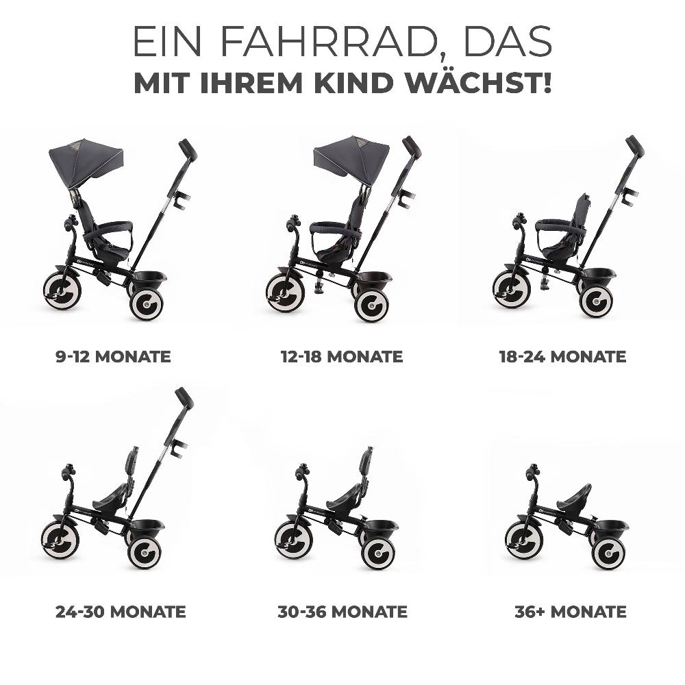 babymarkt Dreirad Aston grau Online