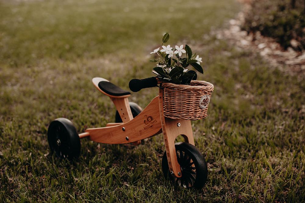 babymarkt 2-in-1 Dreirad Tiny Tot Plus Bambus Neueste Stile