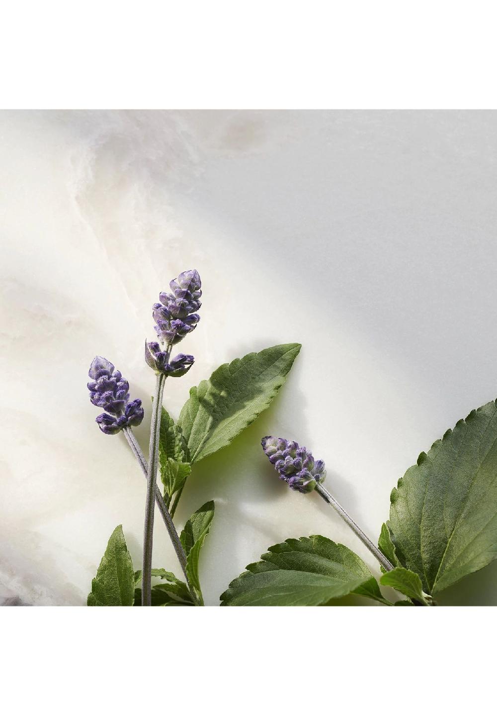 RITUALS® THE RITUAL OF NAMASTE Bakuchiol Natural Booster Flash Sale